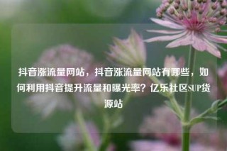 抖音涨流量网站,抖音涨流量网站有哪些,如何利用抖音提升流量和曝光率?亿乐社区SUP货源站
