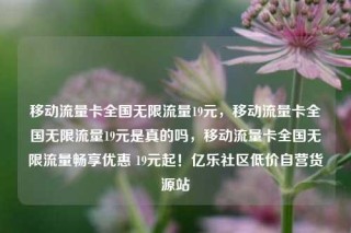 移动流量卡全国无限流量19元,移动流量卡全国无限流量19元是真的吗,移动流量卡全国无限流量畅享优惠 19元起!亿乐社区低价自营货源站