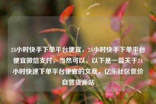 24小时快手下单平台便宜,24小时快手下单平台便宜微信支付,当然可以。以下是一篇关于24小时快速下单平台便宜的文章,亿乐社区低价自营货源站