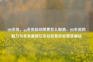 QQ会员,qq会员自动续费怎么取消,QQ会员的魅力与未来展望亿乐社区低价自营货源站