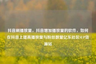 抖音刷播放量,抖音增加播放量的软件,如何在抖音上提高播放量与粉丝数量亿乐社区SUP货源站