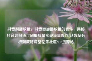 抖音刷播放量,抖音增加播放量的软件,揭秘抖音如何通过刷播放量实现流量爆炸 从数据分析到策略调整亿乐社区SUP货源站