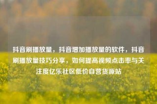 抖音刷播放量,抖音增加播放量的软件,抖音刷播放量技巧分享,如何提高视频点击率与关注度亿乐社区低价自营货源站