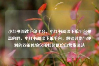 小红书阅读下单平台,小红书阅读下单平台是真的吗,小红书阅读下单平台,解锁时尚与便利的双重体验亿乐社区低价自营货源站