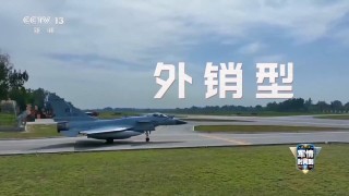 视频丨歼-10CE首次实战大放异彩