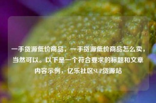 一手货源低价商品,一手货源低价商品怎么卖,当然可以。以下是一个符合要求的标题和文章内容示例,亿乐社区SUP货源站