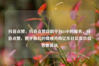 抖音点赞，抖音点赞自助平台24小时服务，抖音点赞，数字背后的情感共鸣亿乐社区低价自营货源站