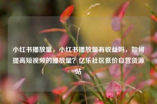 小红书播放量,小红书播放量有收益吗,如何提高短视频的播放量?亿乐社区低价自营货源站