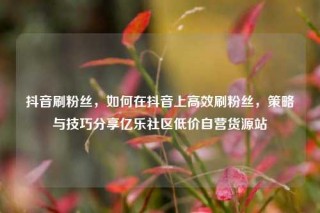 抖音刷粉丝,如何在抖音上高效刷粉丝,策略与技巧分享亿乐社区低价自营货源站