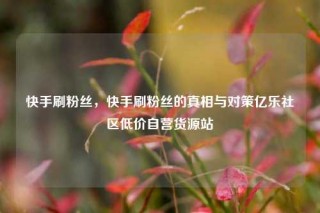 快手刷粉丝,快手刷粉丝的真相与对策亿乐社区低价自营货源站