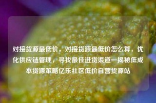 对接货源最低价,对接货源最低价怎么算,优化供应链管理,寻找最佳进货渠道—揭秘低成本货源策略亿乐社区低价自营货源站