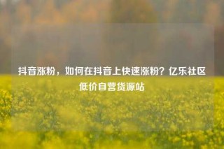 抖音涨粉,如何在抖音上快速涨粉?亿乐社区低价自营货源站