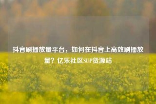 抖音刷播放量平台,如何在抖音上高效刷播放量?亿乐社区SUP货源站