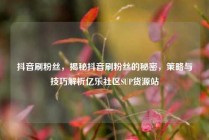 抖音刷粉丝,揭秘抖音刷粉丝的秘密,策略与技巧解析亿乐社区SUP货源站