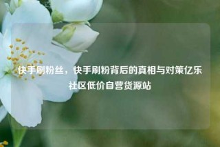 快手刷粉丝,快手刷粉背后的真相与对策亿乐社区低价自营货源站
