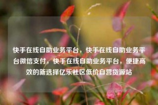 快手在线自助业务平台,快手在线自助业务平台微信支付,快手在线自助业务平台,便捷高效的新选择亿乐社区低价自营货源站
