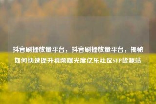 抖音刷播放量平台,抖音刷播放量平台,揭秘如何快速提升视频曝光度亿乐社区SUP货源站
