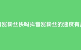 抖音涨粉丝快吗(抖音涨粉丝的速度有多快?)