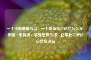 一手货源低价商品,一手货源低价商品怎么卖,手握一手货源,享受超低价格!亿乐社区低价自营货源站