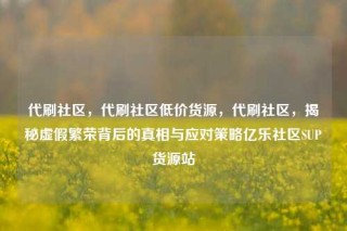 代刷社区,代刷社区低价货源,代刷社区,揭秘虚假繁荣背后的真相与应对策略亿乐社区SUP货源站