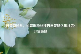 抖音刷粉丝，抖音刷粉丝技巧与策略亿乐社区SUP货源站