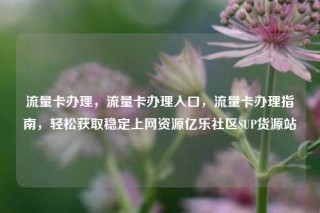 流量卡办理,流量卡办理入口,流量卡办理指南,轻松获取稳定上网资源亿乐社区SUP货源站