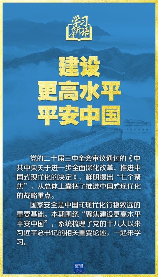 学习新语|领悟“七个聚焦”:建设更高水平平安中国