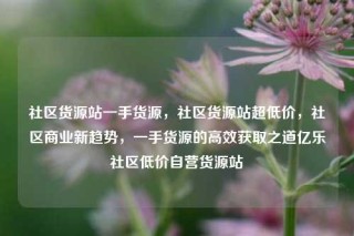 社区货源站一手货源，社区货源站超低价，社区商业新趋势，一手货源的高效获取之道亿乐社区低价自营货源站