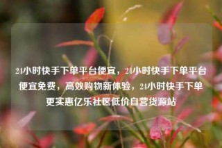 24小时快手下单平台便宜,24小时快手下单平台便宜免费,高效购物新体验,24小时快手下单更实惠亿乐社区低价自营货源站