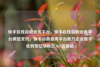 快手在线自助业务平台,快手在线自助业务平台微信支付,快手自助业务平台助力企业数字化转型亿乐社区SUP货源站