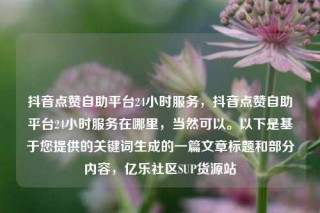 抖音点赞自助平台24小时服务,抖音点赞自助平台24小时服务在哪里,当然可以。以下是基于您提供的关键词生成的一篇文章标题和部分内容,亿乐社区SUP货源站