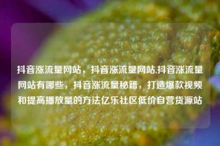 抖音涨流量网站,抖音涨流量网站,抖音涨流量网站有哪些,抖音涨流量秘籍,打造爆款视频和提高播放量的方法亿乐社区低价自营货源站