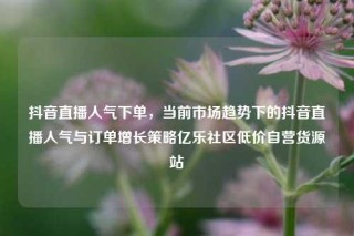 抖音直播人气下单,当前市场趋势下的抖音直播人气与订单增长策略亿乐社区低价自营货源站