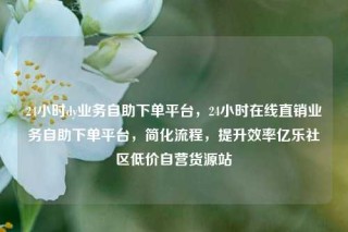 24小时dy业务自助下单平台,24小时在线直销业务自助下单平台,简化流程,提升效率亿乐社区低价自营货源站