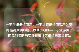 一手货源低价商品,一手货源低价商品怎么卖,打造高效供应链,以低价取胜—一手货源低价商品的策略与实践亿乐社区低价自营货源站