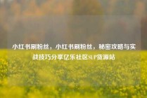 小红书刷粉丝,小红书刷粉丝,秘密攻略与实战技巧分享亿乐社区SUP货源站