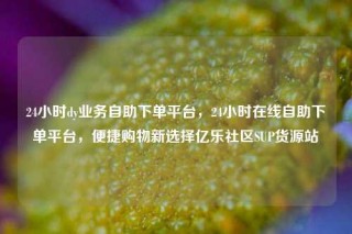 24小时dy业务自助下单平台，24小时在线自助下单平台，便捷购物新选择亿乐社区SUP货源站
