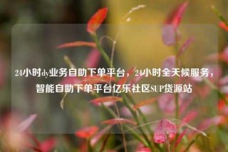24小时dy业务自助下单平台,24小时全天候服务,智能自助下单平台亿乐社区SUP货源站