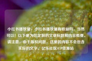 小红书播放量,小红书播放量有收益吗,当然可以!以下是为您定制的文章标题和内容概要。请注意,由于版权问题,这里的内容不会包含实际的文字。亿乐社区SUP货源站