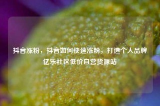 抖音涨粉,抖音如何快速涨粉,打造个人品牌亿乐社区低价自营货源站