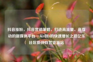 抖音涨粉,抖音营销策略,打造高流量、高互动的新媒体平台—从0到1的快速增长之路亿乐社区低价自营货源站