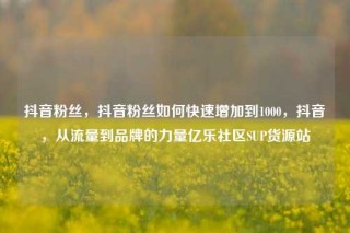 抖音粉丝,抖音粉丝如何快速增加到1000,抖音,从流量到品牌的力量亿乐社区SUP货源站