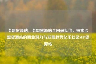 卡盟货源站，卡盟货源站全网最低价，探索卡盟货源站的商业潜力与发展趋势亿乐社区SUP货源站