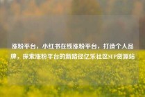 涨粉平台,小红书在线涨粉平台,打造个人品牌,探索涨粉平台的新路径亿乐社区SUP货源站
