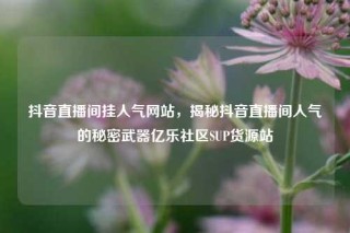 抖音直播间挂人气网站,揭秘抖音直播间人气的秘密武器亿乐社区SUP货源站