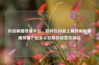 抖音刷播放量平台,如何在抖音上高效刷取高播放量?亿乐社区低价自营货源站