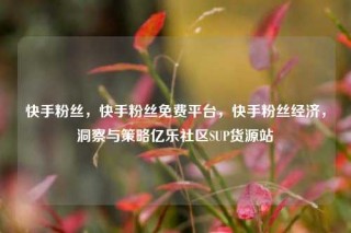 快手粉丝,快手粉丝免费平台,快手粉丝经济,洞察与策略亿乐社区SUP货源站