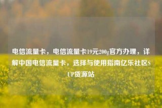 电信流量卡，电信流量卡19元200g官方办理，详解中国电信流量卡，选择与使用指南亿乐社区SUP货源站