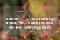 买抖音粉丝10元一万,抖音买十万粉多少钱,赚钱攻略,仅需10元就能拥有十万抖音粉丝!秘籍大揭秘!亿乐社区低价自营货源站