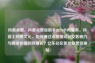 抖音点赞,抖音点赞自助平台24小时服务,抖音上的赞文化,如何通过点赞推动社交影响力与商业价值的双增长?亿乐社区低价自营货源站